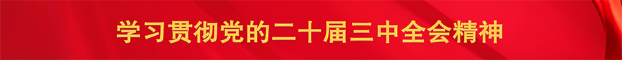 學(xué)習(xí)貫徹黨的二十屆三中全會(huì)精神_橫幅.png